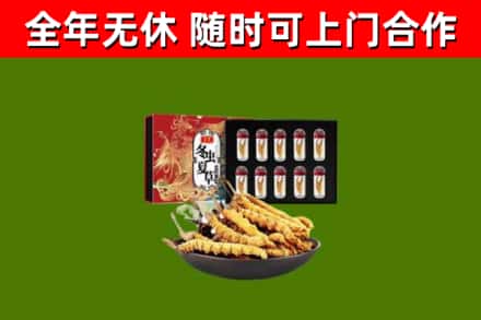 平江回收冬虫夏草价格